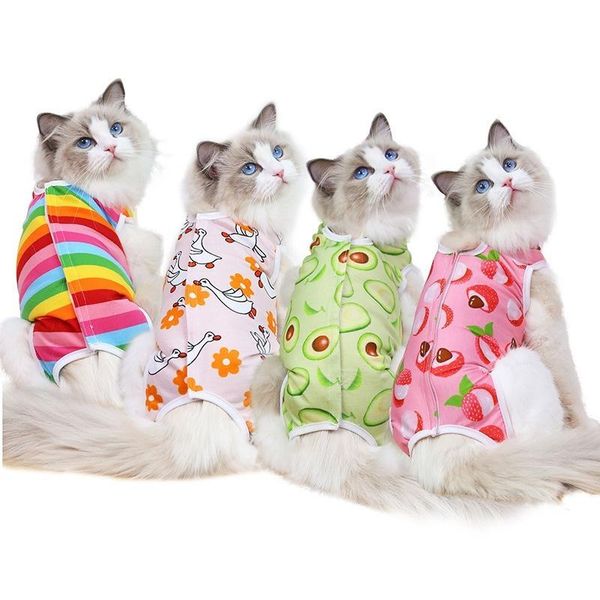 

cat costumes spring summer pet accessories sterilization suit anti-licking after recovery care breathable clothes