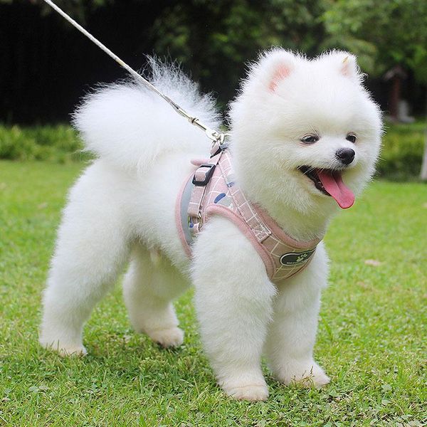 

dog apparel pet chest strap breathable reflective leash small