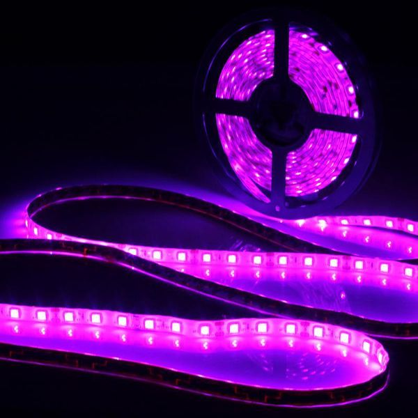 

0.5/1/2/3/4/5m lamp purple waterproof ip65 led strip light 12v dc smd black 60 395-405nm strips