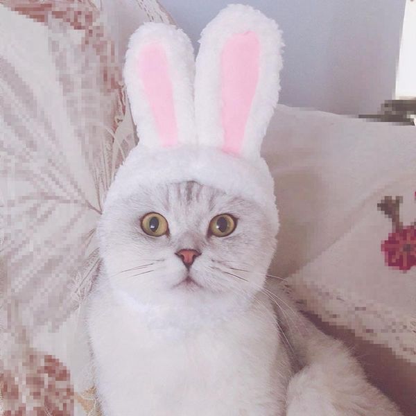 

cat costumes funny cute pet dog cap costume warm hat year party christmas cosplay accessories po props headwear
