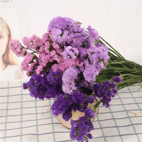 

50g natural dried plant multi-color myosotis diy wedding festival party home decoration valentines day present