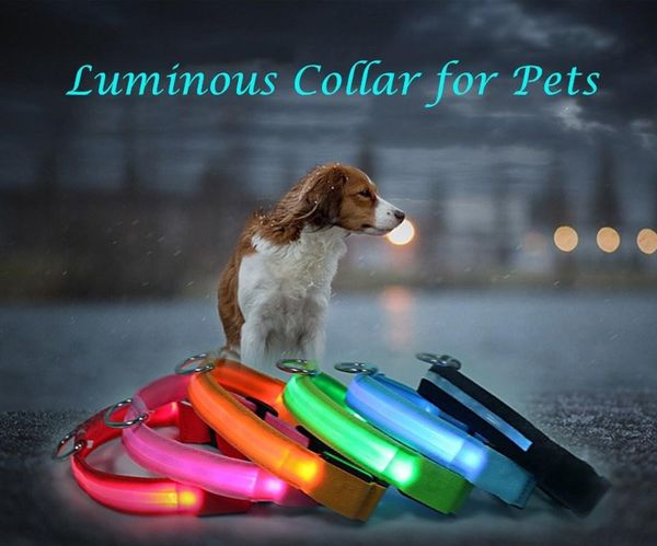

dog collars & leashes led collar anti-lost avoid car accident for dogs puppies leads flashing pet safety products supplies