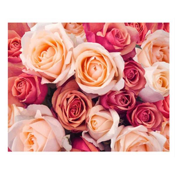 

paintings selilali beautiful rose flower painting by numbers canvas diy oil paint kits pigment modern wall-art picture for home decors