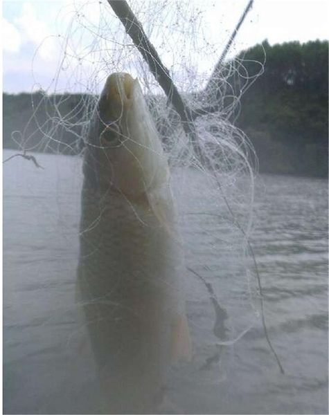 

fishing accessories net traps