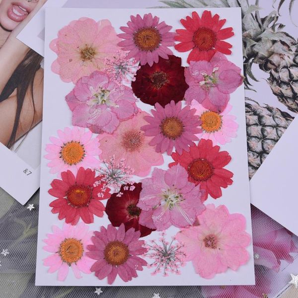 

decorative flowers & wreaths 20pcs diy pressed dried epoxy flower materials multiple real plants specimen (red, 7 flowers)