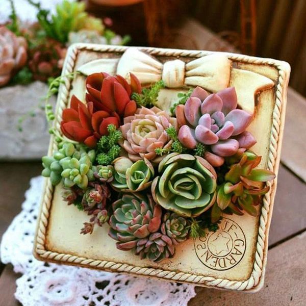 

planters & pots ceramic po frame flowerpot succulent bonsai flower pot garden decor vase retro home gardening decoration craft