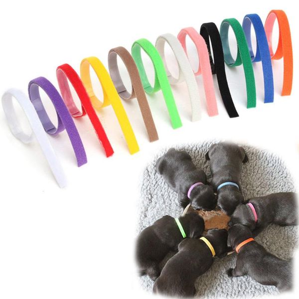 

dog collars & leashes 12pcs/lot puppy kitten identification collar whelping id bands for small dogs cats pet supplies