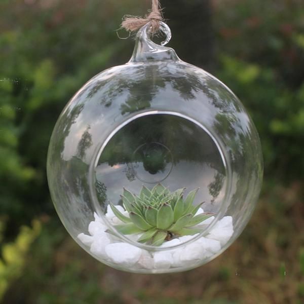 

vases transparent glass vase for home garden decor 10cm round