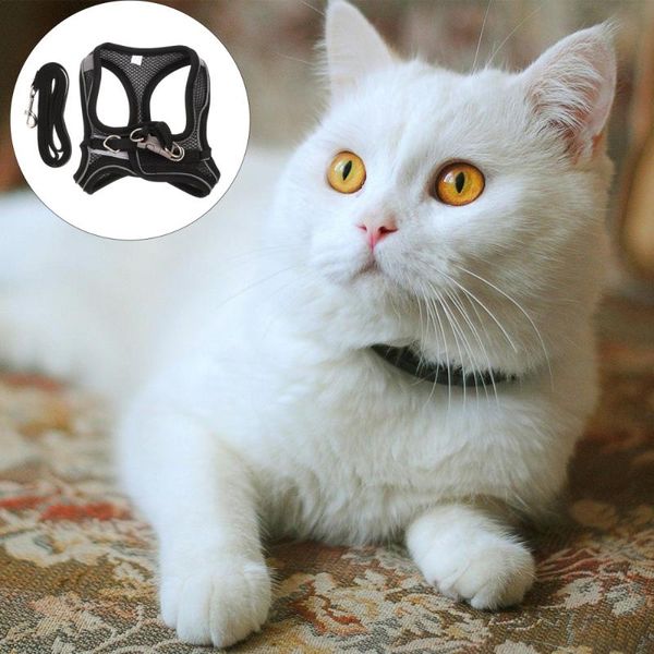 

cat collars & leads 1 set harness leash pulling rope and collar outdoor walking
