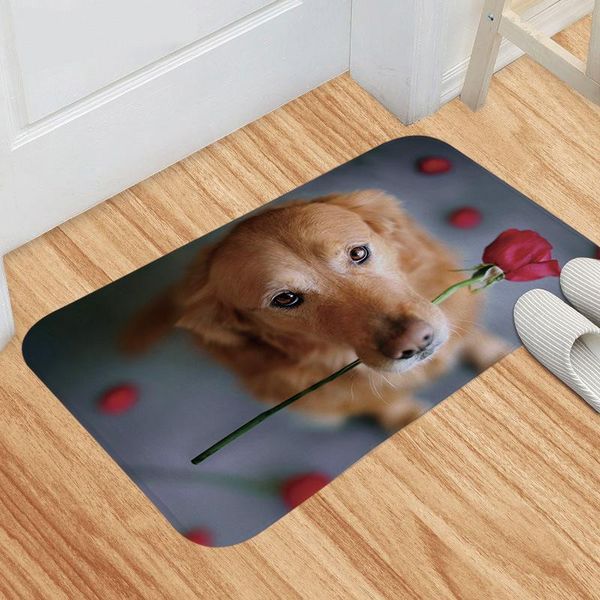 

carpets animal graphic bathroom carpet flannel memory foam bath mat non-slip cartoon rugs living room 1pc