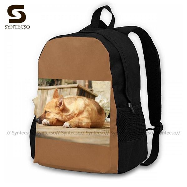

amstaff backpacks polyester outdoor youth backpack durable funny bags