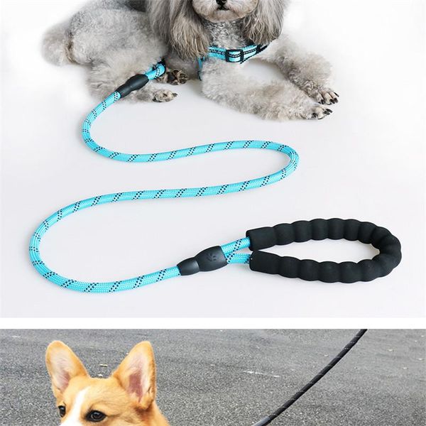 

dog collars & leashes 1.5m luminous leash laisse chien pet elastic no pain hand nylon training metal d-ring supplies accessorie