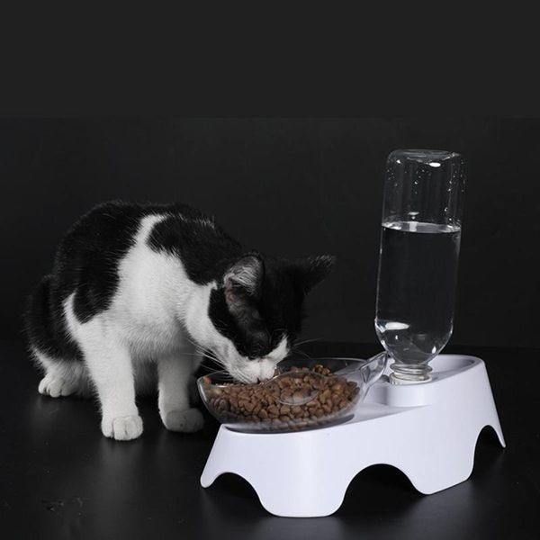 

degrees pet cat dog bowl dual-use transparent bowls protect cervical vertebra tilt mouth drinking water storage & feeders