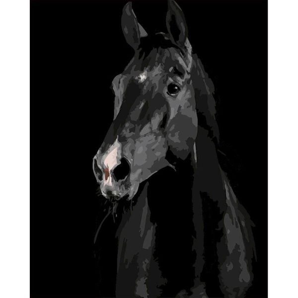 

painting by numbers animals 40x50cm pictures oil dark horse acrylic coloring on canvas wall gift paintings