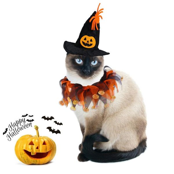 

cat costumes cosplay hat collar set pet halloween clothes dog christmas pumpkin decoration puppy po props kitten accessories