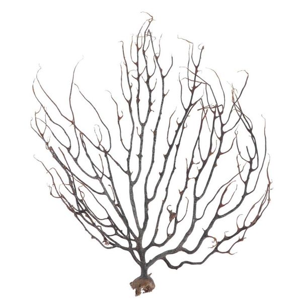 

1pc coral design fish tank decor natural lifelike aquarium prop random color decorations