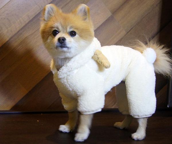 

winter dog clothes jumpsuit funny pet clothing outfit garment puppy costume yorkie poodle pomeranian schnauzer overalls coat apparel