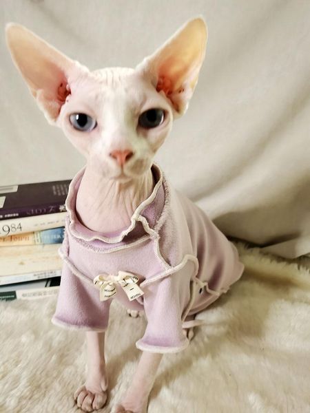 

cute cat clothing spring autumn wearing apparel kitten jumper hairless outfits coat kitty sphynx clothes costumes