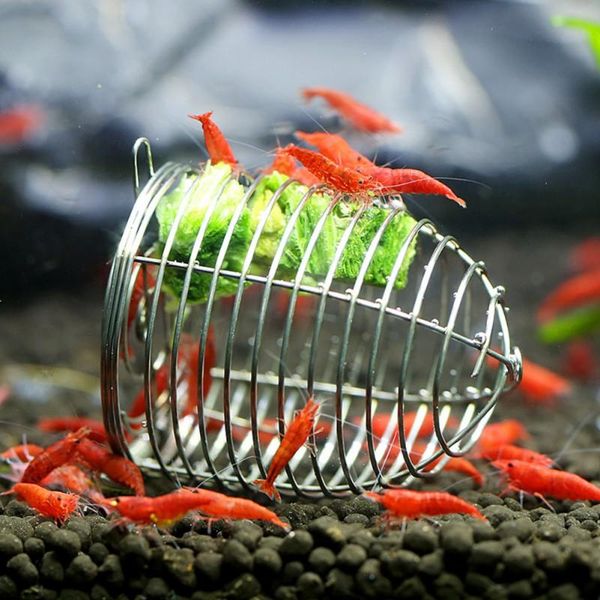 

durable aquarium shrimp small bait feeder dry spinach feeding stainless steel cage decorations