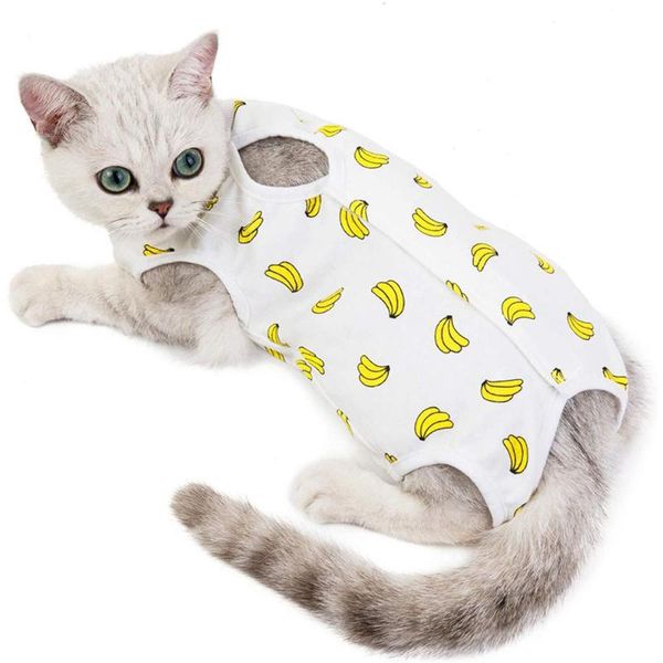 

cat costumes pet small dog recovery suit for abdominal wounds or skin diseases after wear anti licking soft e-collar cats