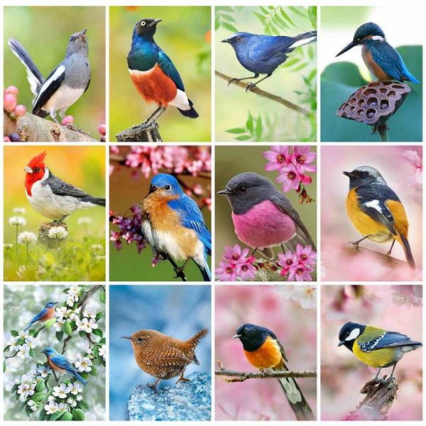

diamond painting huacan kits full drill bird 5d diy mosaic cross stitch animal embroidery sale handmade gift