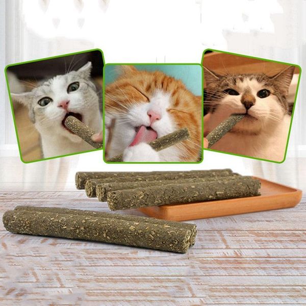 

cat toys 2pcs pure natural catnip pet molar toothpaste stick mint sticks cleaning teeth cats toy