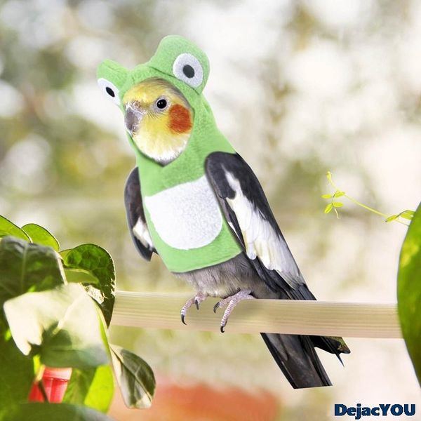 

bird cages novel pet parrot clothes cute and turn into frog