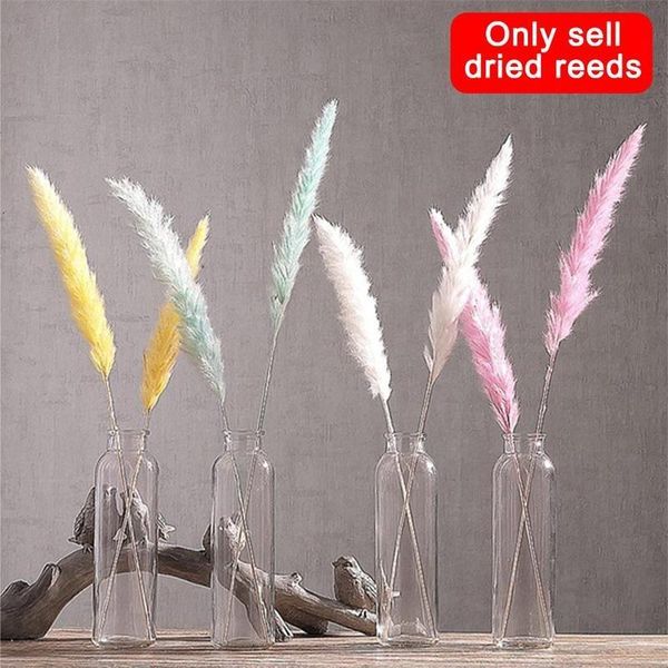 

decorative flowers & wreaths 15pcs natural dried reed yellow/blue/pink/white/brown bulrush bunch wedding home decor flower arrangement acces