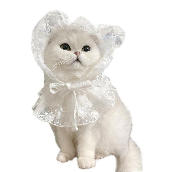

cat costumes legendog bib collar lace soft puppy dog with pet hat for christmas supplies clothing accessories