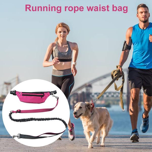 

outdoor dog leash waist bag pet sports running hands-lead collar reflective traction collars & leashes