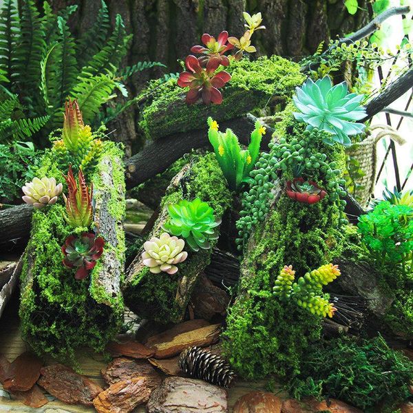 

decorative flowers & wreaths dekoration green plant immortal fake flower moss grass home decor living room wedding wall diy mini accessories