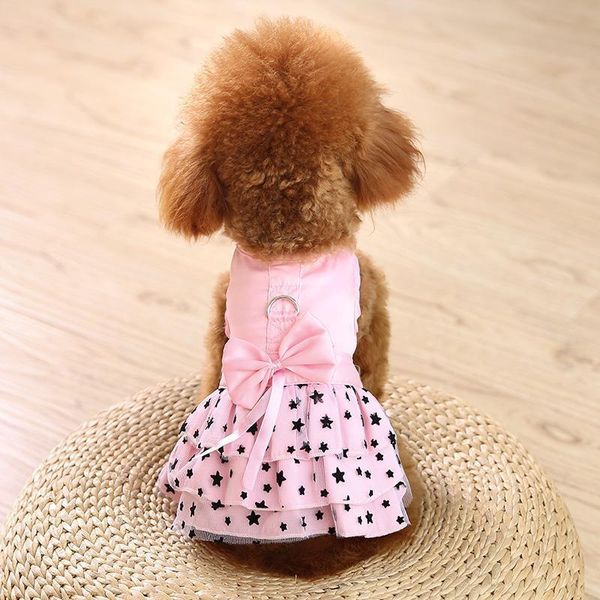 

teddy drs dog spring and summer than xiong bomei cat pet princs drs thin