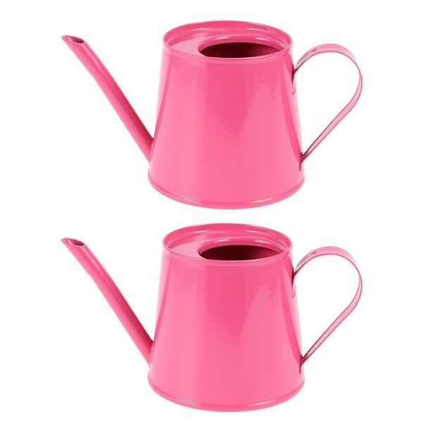 

2pcs watering kettle iron flower holder flowers storage bucket flowerpot equipments