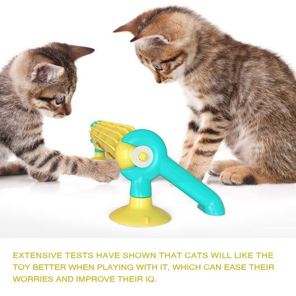 

cat toys pet wall sucker track ball self toy educational