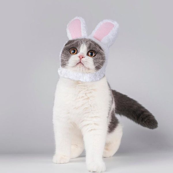 

cat costumes funny pet kitten cosplay costume hat cap cute halloween christmas clothing hats small dogs accessories