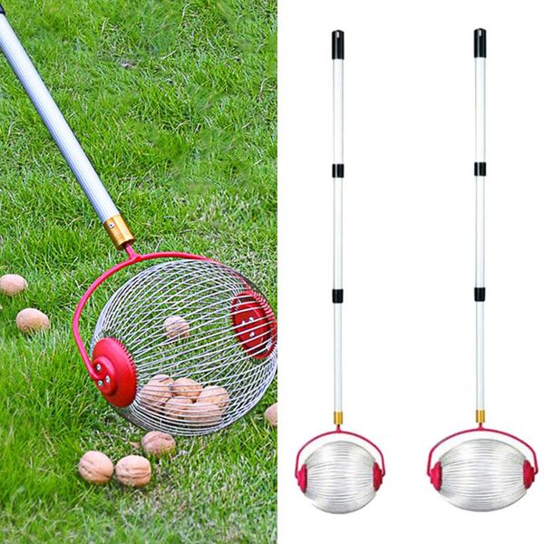

golf training aids nut gatherer fruit collector garden rolling harvester picker with telescoping pole for picking up walnut chestnut