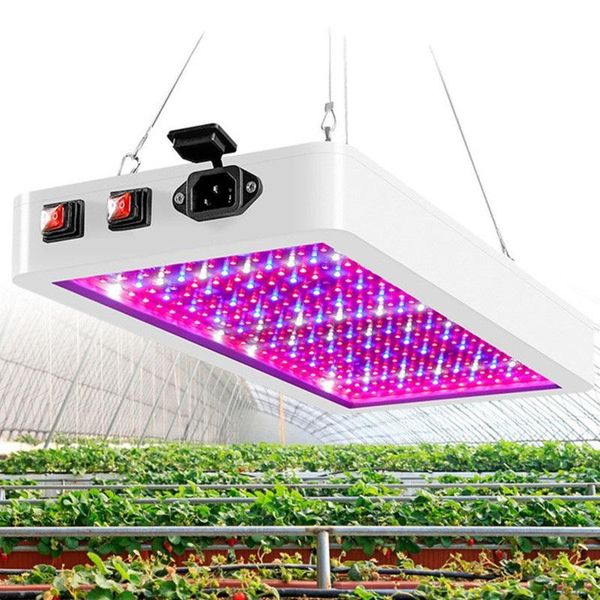 

plants growing light led indoor vegetable grow full spectrum red blue flower fixtures growth lamp lights
