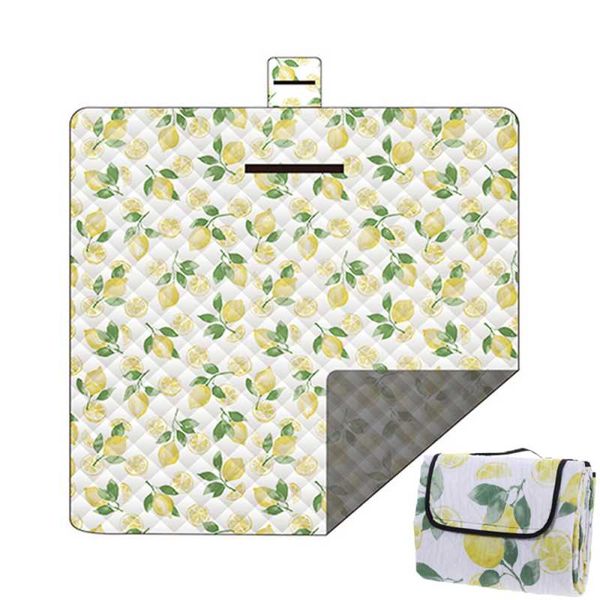 

outdoor pads camping mat picnic blanket waterproof washable hiking moistureproof lightweig pad folding beach 2*2m equipment