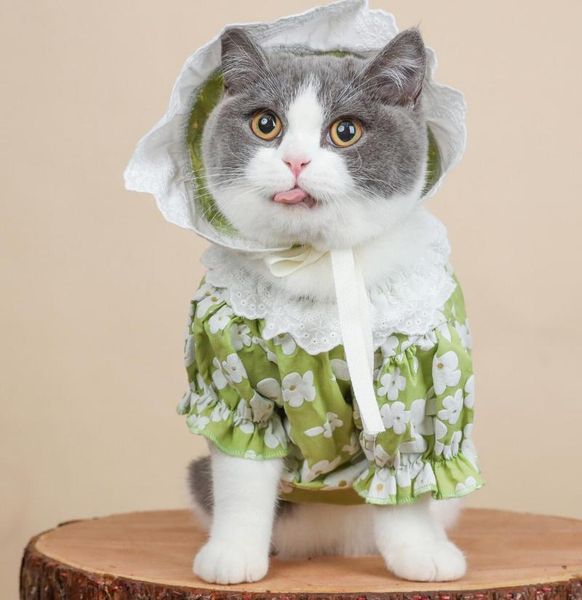 

cat costumes summer dog dresses skirt outdoor travel pet clothing puppy yorkshire pomeranian poodle bichon clothes