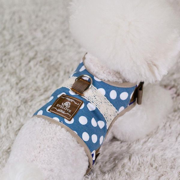 

dog collars & leashes small dogs leash with pet teddy rope collar vip harness