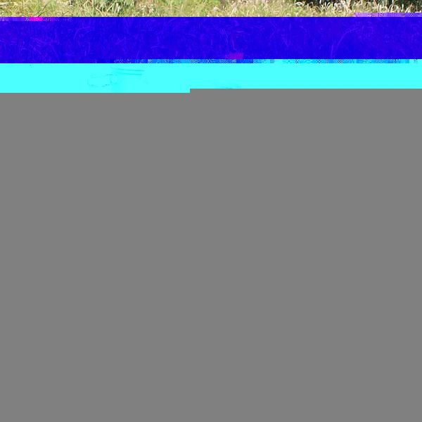 

portable outdoor bbq camping picnic folding table camp furniture