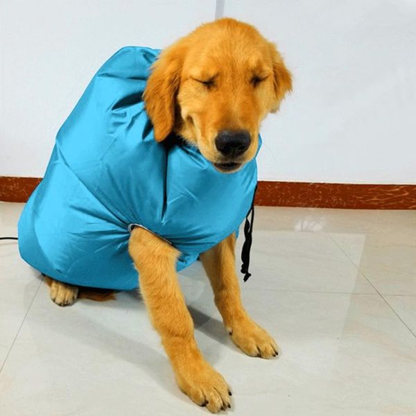 

cat costumes pet hair dryer blow dry fluffy dog portable quick and easy professional tool low noise fluff beauty