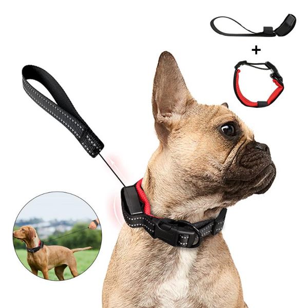 

dog collars & leashes leash nylon reflective puppy cat automatic rope for dogs cats 2 in 1 pet with retractable