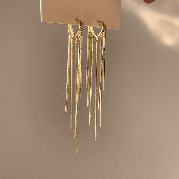 

metal tassel long earrings new wave korea online celebrity temperament fashion earrings atmospheric personality jewelry luxurys designers, Silver