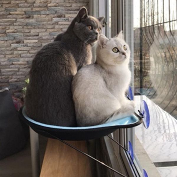 

pet hanging beds cute cat hammock window seat mount comfortable bed shelf for mat pets accessories & furniture