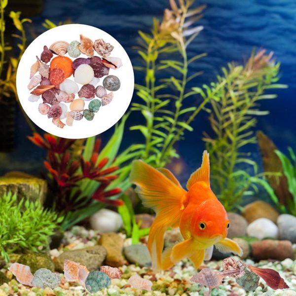 

novelty items 1 set conch shell coral fish tank aquarium decorations bonsai ornaments