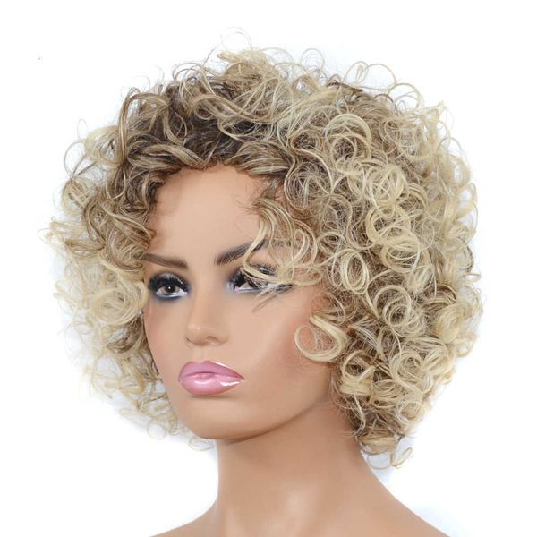 

golden hair short large explosion puffy curly wig head cover, Black
