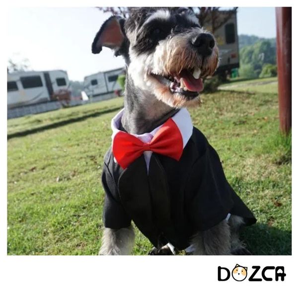 

dog apparel dogs black white tuxedo suit spring summer autumn cats cute cartoon clothes for birthday wedding party pets costume supplier