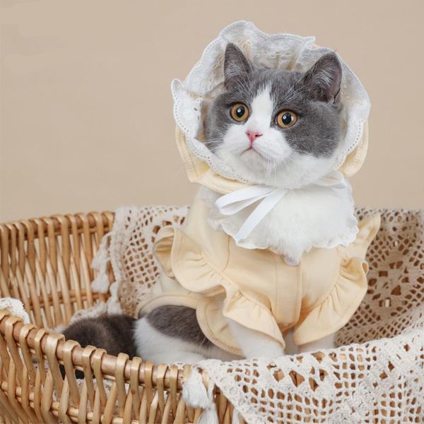 

cat costumes pet clothes cute dog spring and summer small chihuahua pug