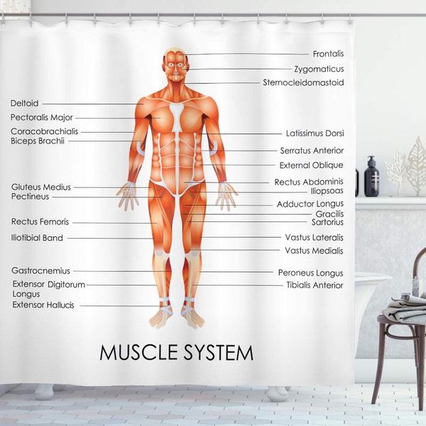 

shower curtains human anatomy curtain waterproof muscle system diagram of man body features biological elements heath bath